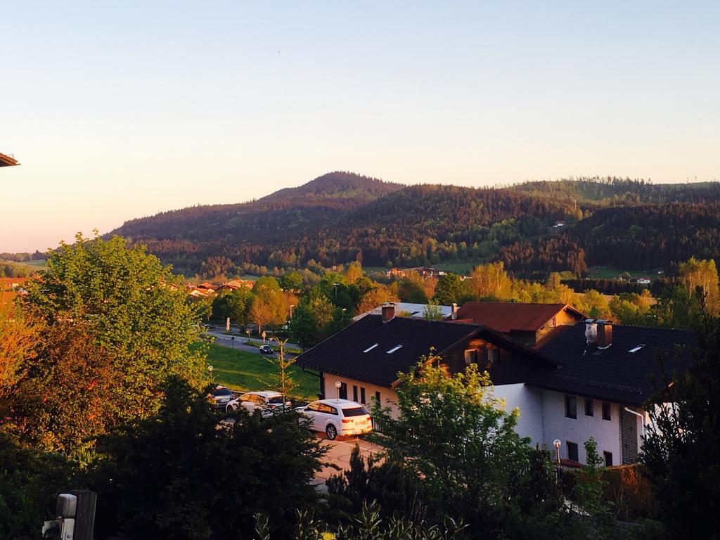 Pension Klein und Ferienwohnungen Bodenmais Exterior foto