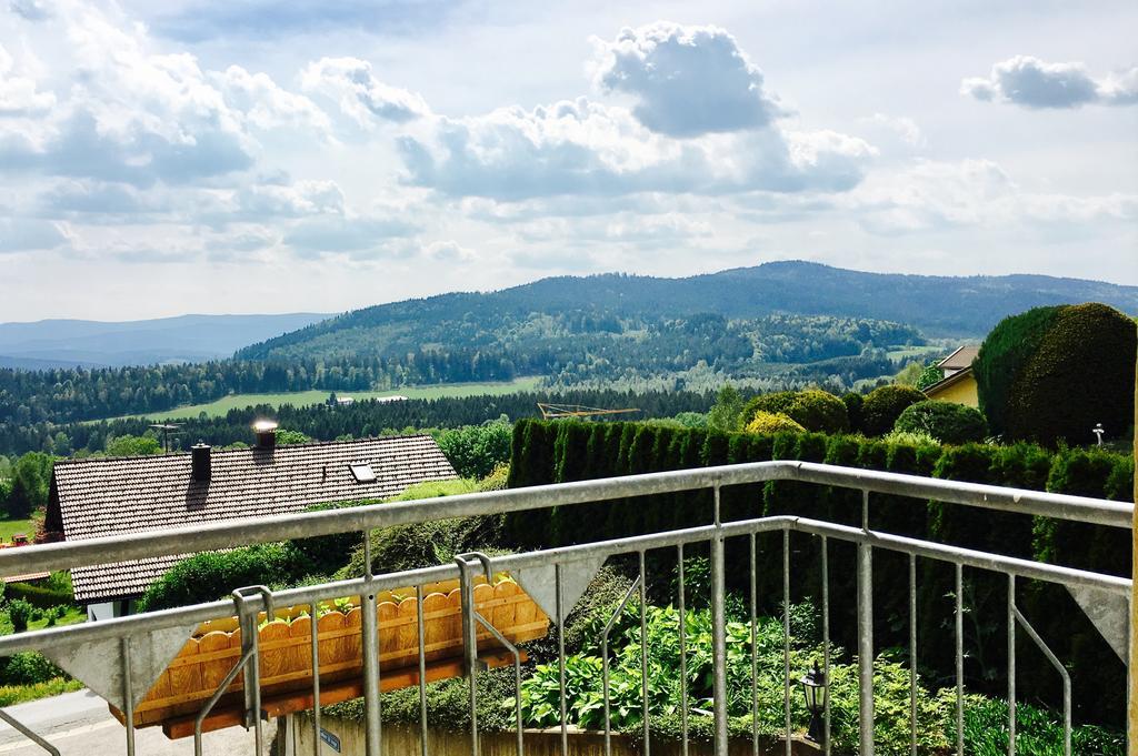 Pension Klein und Ferienwohnungen Bodenmais Exterior foto